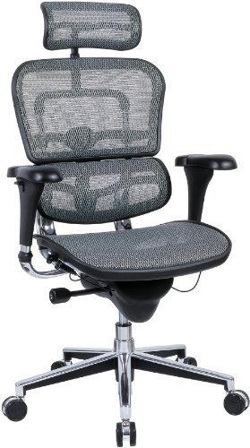 EUROTECH Ergohuman Mesh Chairs - Gray