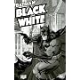 Batman: Black & White, Vol. 1