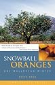 Snowball Oranges One Mallorcan Winter