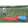 Agility-in-a-Bag Set