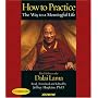 How to Practice: The Way to a Meaningful Life