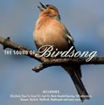 The Sound Of Birdsong