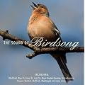 The Sound Of Birdsong