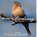 The Sound Of Birdsong