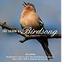 The Sound Of Birdsong