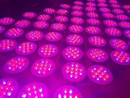 MuizluxLED Plant Grow Light Bulb for Hydroponic Garden Greenhouses - Perfect Grow Lights for Indoor Plants - 12W E27 12 LEDS (3 Blue & 9 Red)