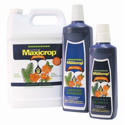 black Friday Maxicrop Seaweed Plus Iron LiterB0001YC46S