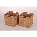 2 Regalk�rbe Wasserhyaz. "New Asia" f�r Ikea Expedit natur