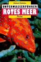 Unterwasserf&uuml;hrer Rotes Meer: Fische