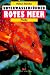  : Unterwasserf&uuml;hrer Rotes Meer: Fische