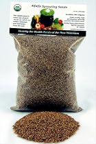 Organic Alfalfa Sprouting Seed- 1 Lbs (16 Oz.)- Organic - High Sprout Germination- Edible Seeds, Gardening, Hydroponics, Growing Salad Sprouts, Planting, Food Storage & More
