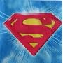 Superman Returns Beverage Napkins - 16 Count