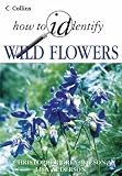 Wild Flowers (How to Identify)