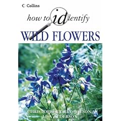 How to Identify - Wild Flowers