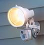 Stealth Cam� Patroller Security Light / Camera