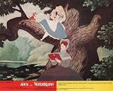 Alice In Wonderland - Movie Poster Photo Print - 8 x 10 Alice In Wonderland - Movie Poster Photo Print - 8 x 10