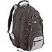 Targus CityGear Chicago Backpack Case for 15.4 Inch Notebooks TCG650 (Black with Grey)