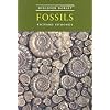 Discover Dorset Fossils