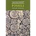 Discover Dorset Fossils (Discover Dorset)