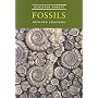 Discover Dorset Fossils