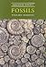 Discover Dorset Fossils (Discover Dorset)