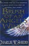  : Brush of an Angel's Wing