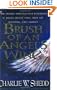 Brush of an Angel's Wing