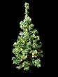 2' Pre-Lit LED Lighted Artificial Christmas Tree - Warm Clear White Lights