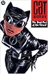 Catwoman Vol. 1: The Dark End of the Street (Batman)