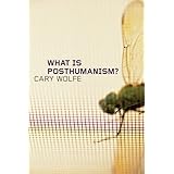 what is posthumanism posthumanities