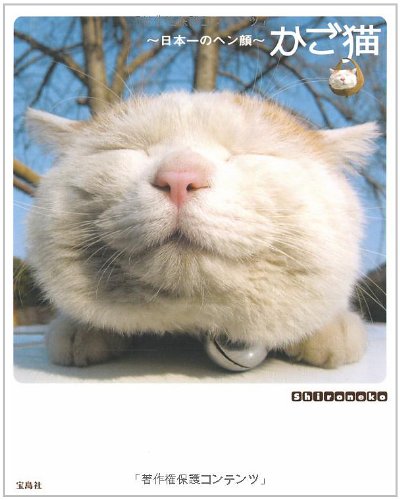 Cover image : かご猫