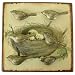 Metal Wall Plaque with 6 Gilt Bird Magnets