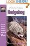 The Guide to Owning a Hedgehog