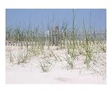 Beach Fence Scenic RePoster Print Poster by Joshua G Johnson, 10x8