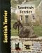 Scottish Terrier (Pet love)