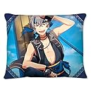 あんさんぶるスターズ! UNDEAD 大神晃牙 海賊 ミニクッション