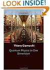 Quantum Physics in One Dimension (International Series of Monographs on Physics)