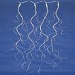 Set of 288 LED Purple Micro Designer Branch Icicle Christmas Light Curtain