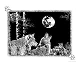Night Wolves Animals Giclee Poster Print by Marlene Barrett, 20x16