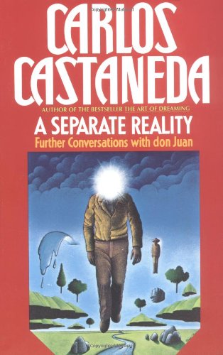 Separate Reality Book Image