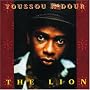 The Lion