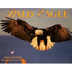Bald Eagle 2000 Calendar
