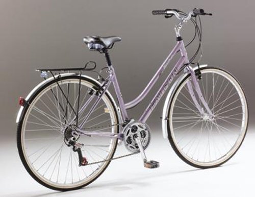 Childrens Toyshop  Toys : Falcon meridian women's bike framesize 18