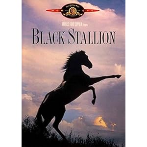 Black Stallion [Import italien]