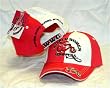 Wicked Women Chopper Hat WWC Biker Baseball Cap - Pinwheel style