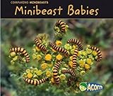 Minibeast babies