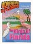 Birds of Florida