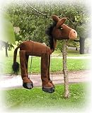 Donkey 16