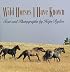 Wild Horses I Have Known