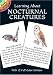 Learning about Nocturnal Creatures (Dover Little Activity Books)